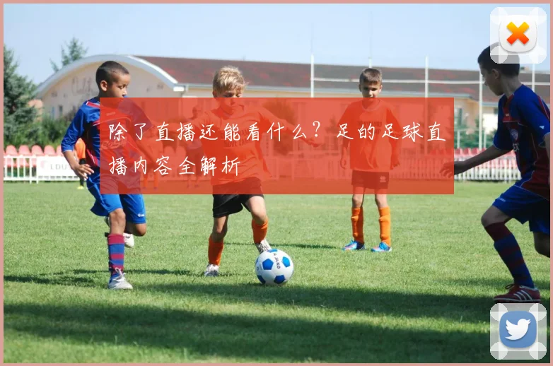 除了直播还能看什么？足的足球直播内容全解析
