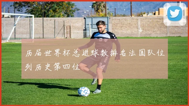 历届世界杯总进球数排名法国队位列历史第四位