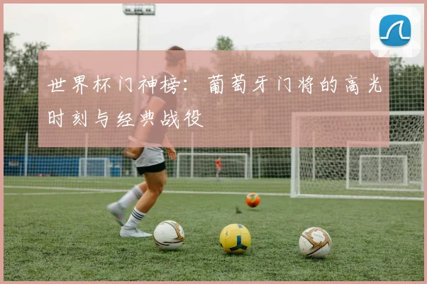 世界杯门神榜：葡萄牙门将的高光时刻与经典战役