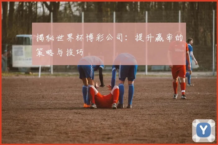 揭秘世界杯博彩公司:提升赢率的策略与技巧