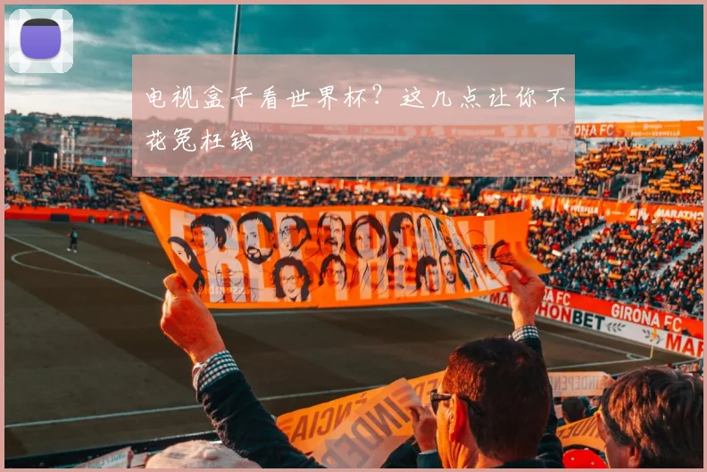 电视盒子看世界杯?这几点让你不花冤枉钱