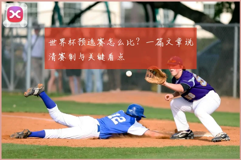 世界杯预选赛怎么比？一篇文章说清赛制与关键看点