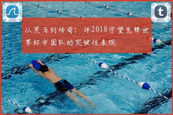 从黑马到传奇：评2018守望先锋世界杯中国队的突破性表现