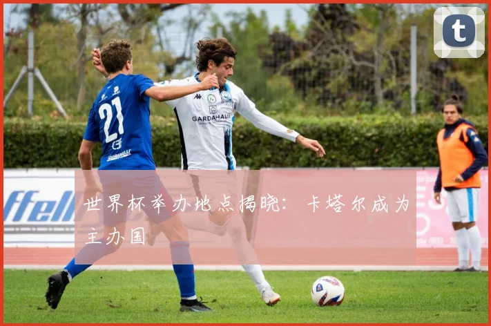 世界杯举办地点揭晓:卡塔尔成为主办国