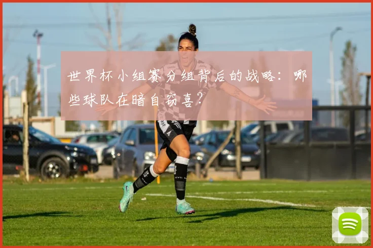 世界杯小组赛分组背后的战略：哪些球队在暗自窃喜？