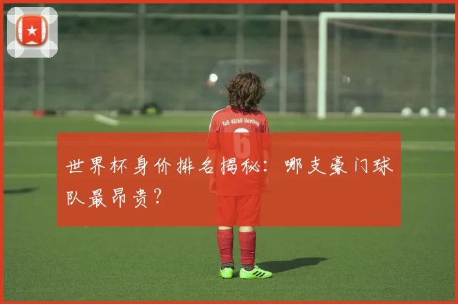 世界杯身价排名揭秘：哪支豪门球队最昂贵？