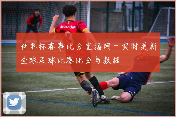 世界杯赛事比分直播网 - 实时更新全球足球比赛比分与数据
